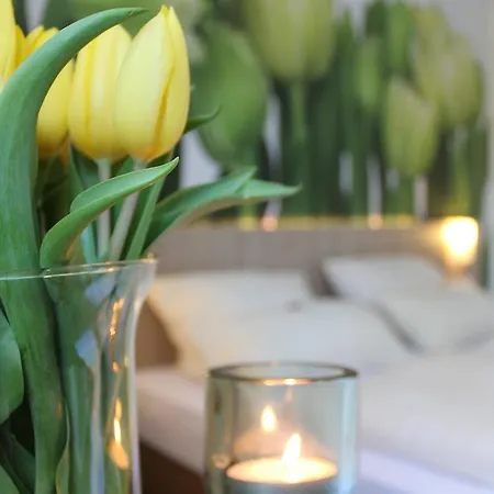 酒店 派尔酒店 3*