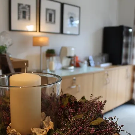 派尔酒店 酒店 Emlichheim