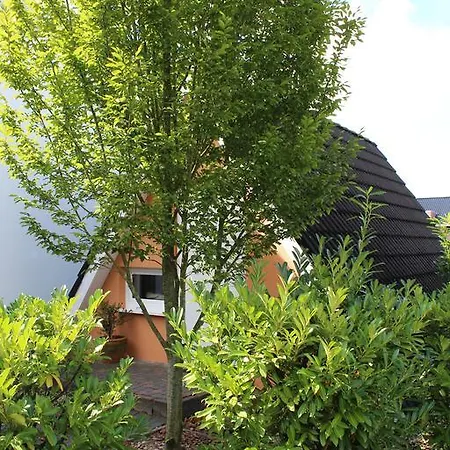 派尔酒店 3* Emlichheim