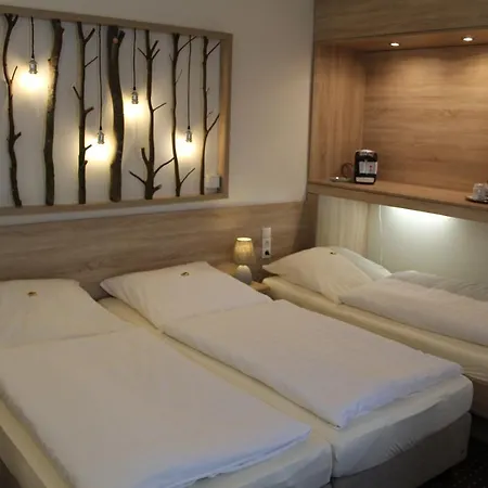 派尔酒店 酒店 Emlichheim